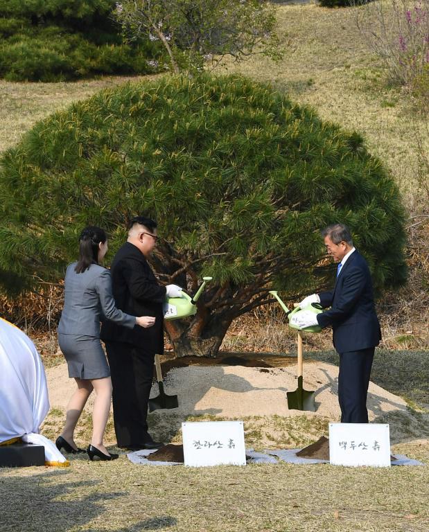 Le président sud-coréen Moon Jae-in (d) et le leader nord-coréen Kim Jong Un plantent un arbre pendant le sommet intercoréen, le 27 avril 2018 à Panmunjom [Korea Summit Press Pool / Korea Summit Press Pool/AFP]