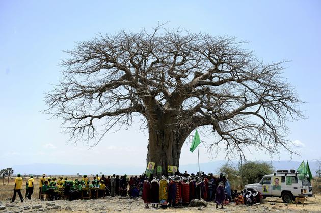 Des Massai se réunissent sous un baobab à Oltukai, en Tanzanie le 26 octobre 2010 [Tony KARUMBA / AFP/Archives]