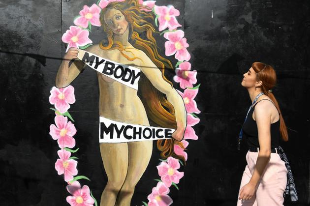 Peinture murale réalisée à l'occasion du référendum sur l'avortement en Irlande, le 11 mai 2018 à Dublin [Artur Widak / AFP/Archives]