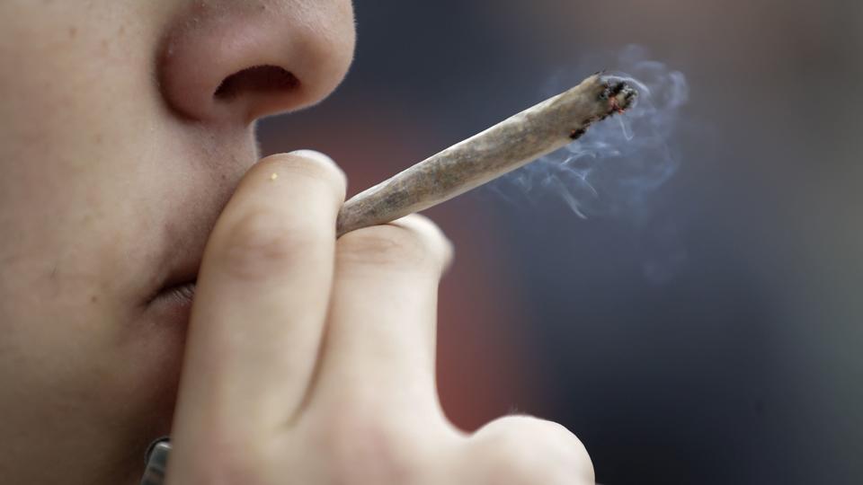 Cannabis : une trentaine de sénateurs signent pour sa légalisation en France