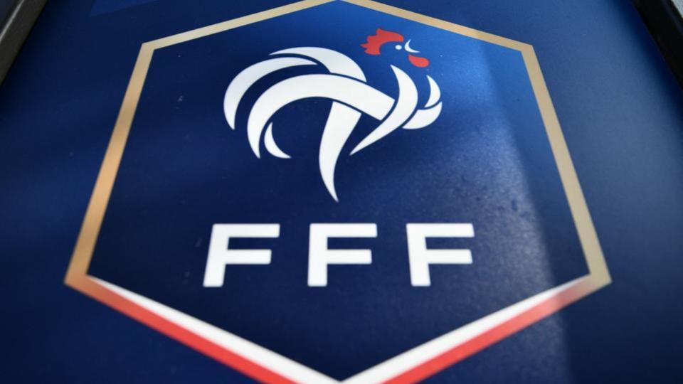 Incidents au stade de France : FFF et UEFA évaluent à 2.800 le nombre de «faux billets scannés»