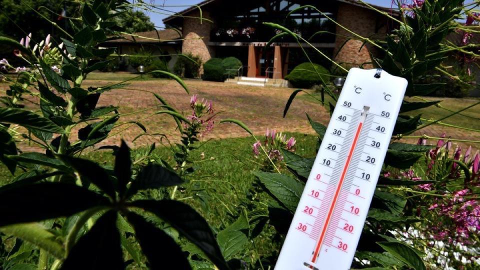 Canicule : les températures vont continuer de grimper toute la semaine pour frôler les 40° C