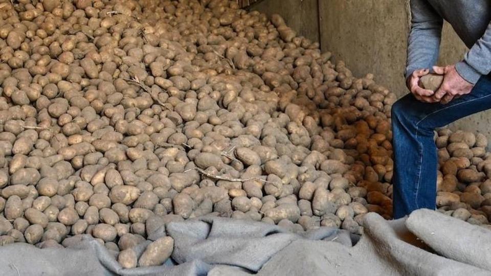 Pourquoi le prix du kilo de pommes de terre est-il passé au-dessus des 2 euros ?