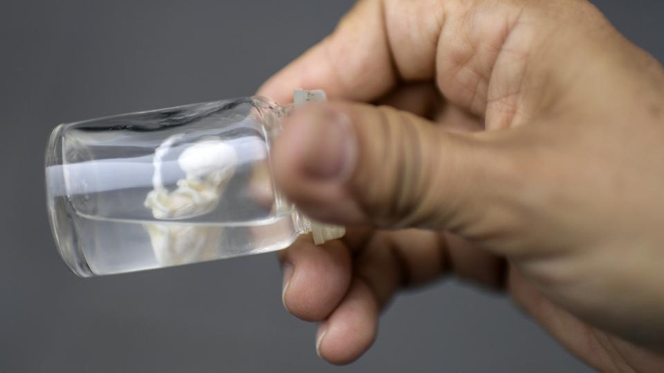 La Chine travaille sur des utérus artificiels pouponnés par une IA