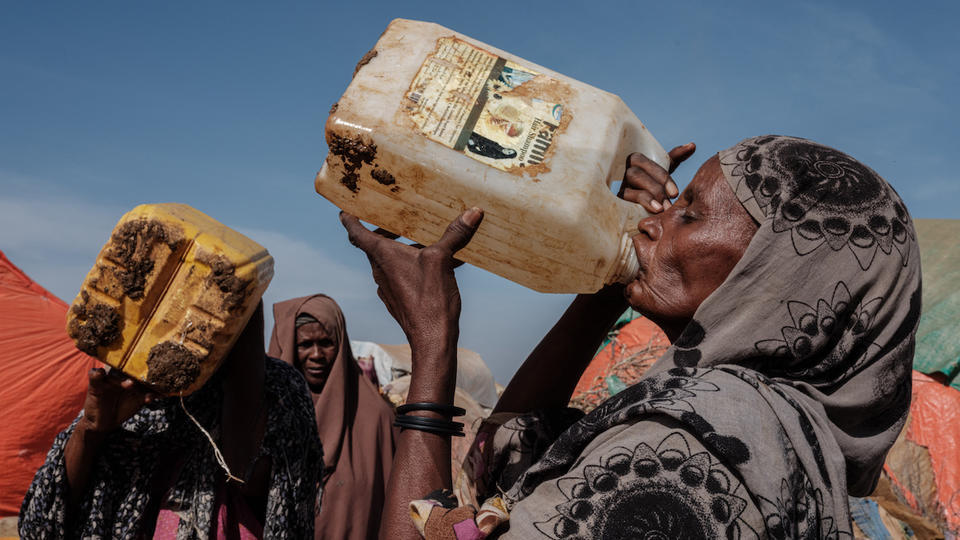 Somalie : un million de personnes déplacées à cause d'une sécheresse «historique»