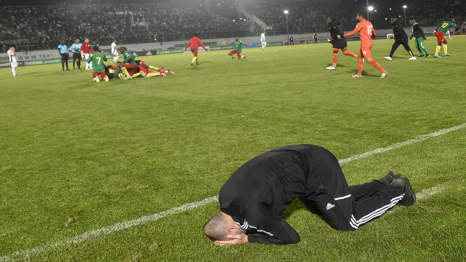 Algérie-Cameroun : l'émouvante photo de Djamel Belmadi abattu après le match