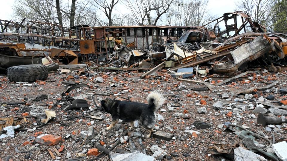 DIRECT - Guerre en Ukraine : Kharkiv de nouveau bombardée, trois morts recensés