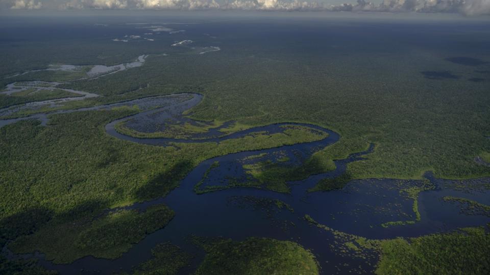Amazonie : la déforestation toujours au plus haut au Brésil