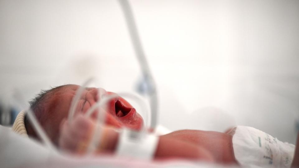 Pays-Bas : un donneur de sperme, père de plus de 500 enfants, poursuivi en justice par une association