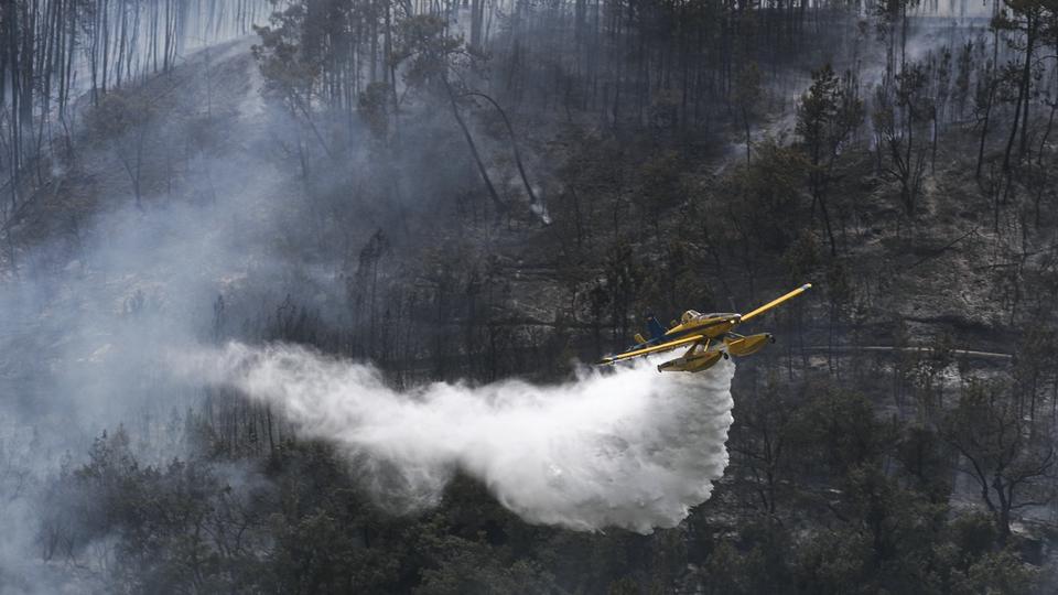 Canicule : un avion de combat contre les incendies s'écrase au Portugal, le pilote est mort