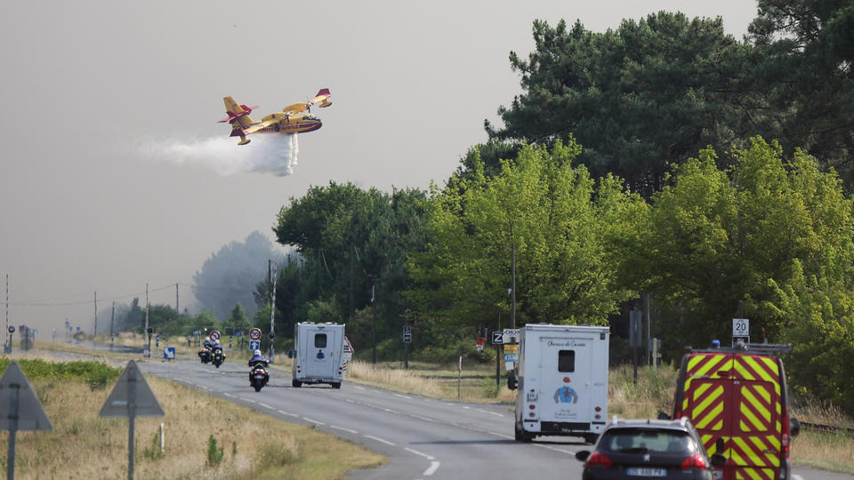 Incendies en Gironde : près de 300 animaux de compagnie secourus dans le village de Cazaux