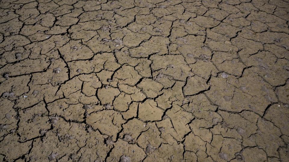 Juillet 2022 sera «très probablement» le mois de juillet le plus sec depuis 1959, alerte Météo-France