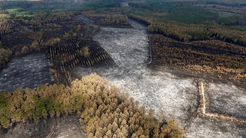 Gironde : l'incendie de Landiras est fixé