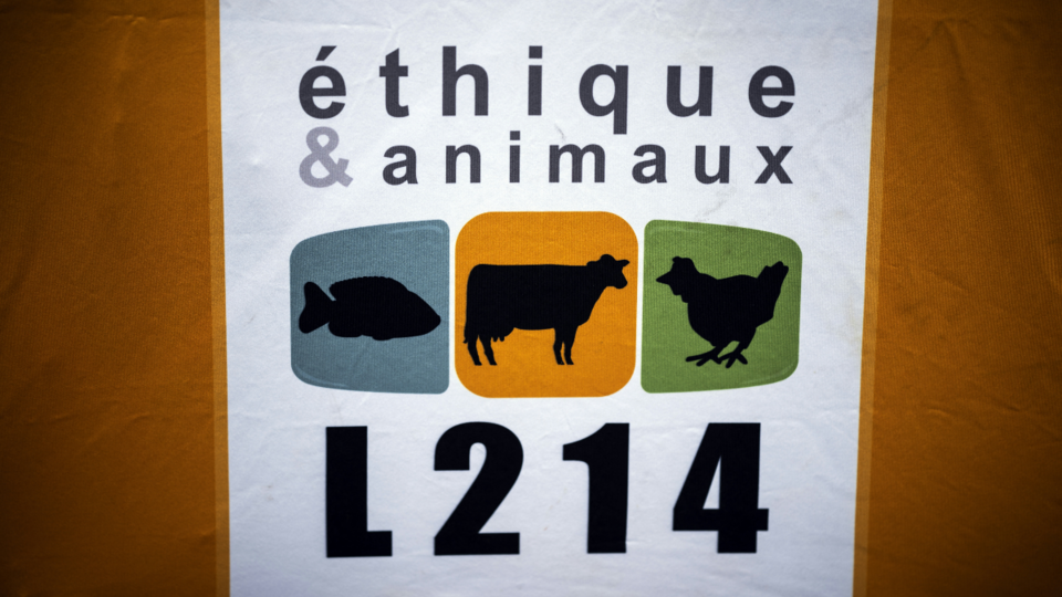 Gironde : une expertise ne relève pas d'acte de maltraitance dans un élevage signalé par L214