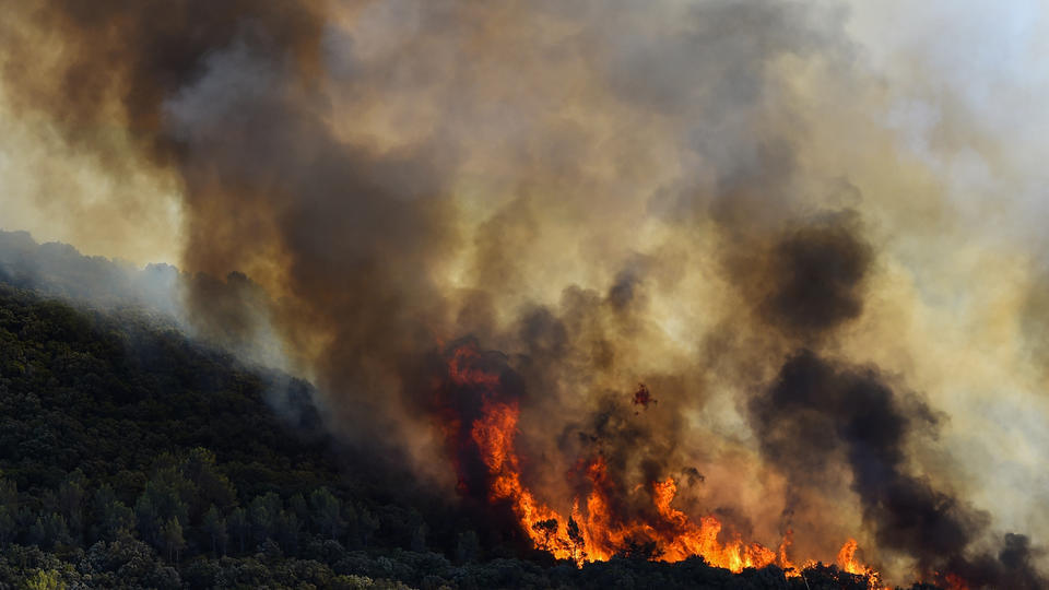 Pyrénées-Orientales : un violent incendie s'est déclaré dans la commune de Calce, plus de 100 hectares brûlés