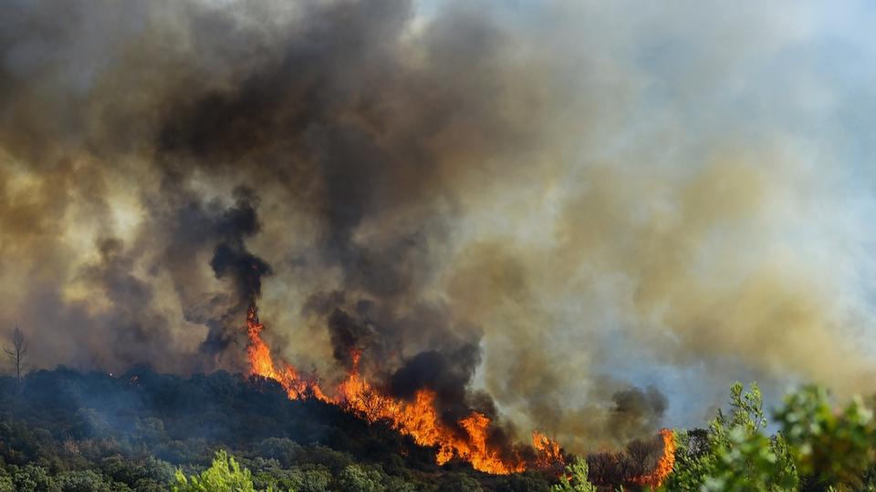 Feux de forêts : le nombre d'hectares brûlés déjà plus important que le record de 2019
