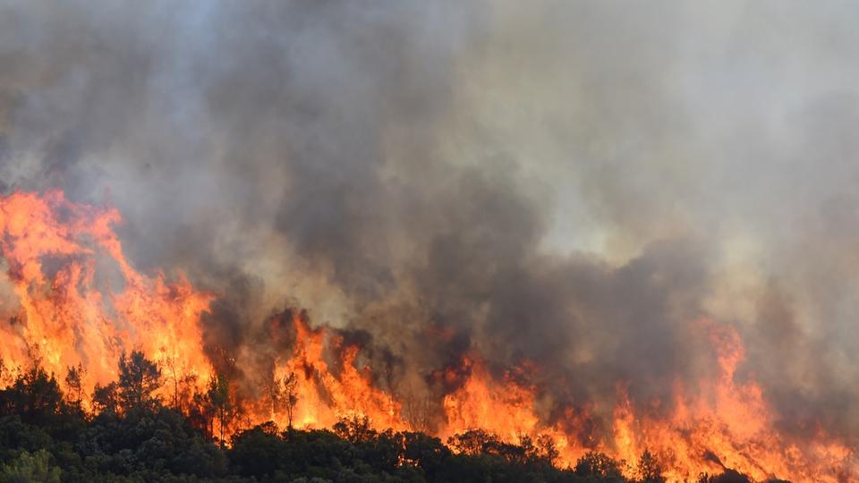 Incendies : qu'est-ce que la Météo des forêts imaginée par le gouvernement ?