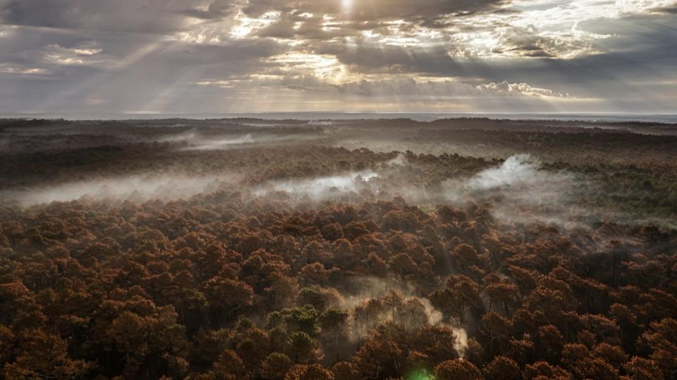 Gironde : le département repasse en vigilance rouge pour risque de feux de forêt