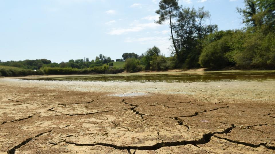 Canicule : l'été 2022 est le 2e plus chaud jamais enregistré dans l'Hexagone, selon Météo-France