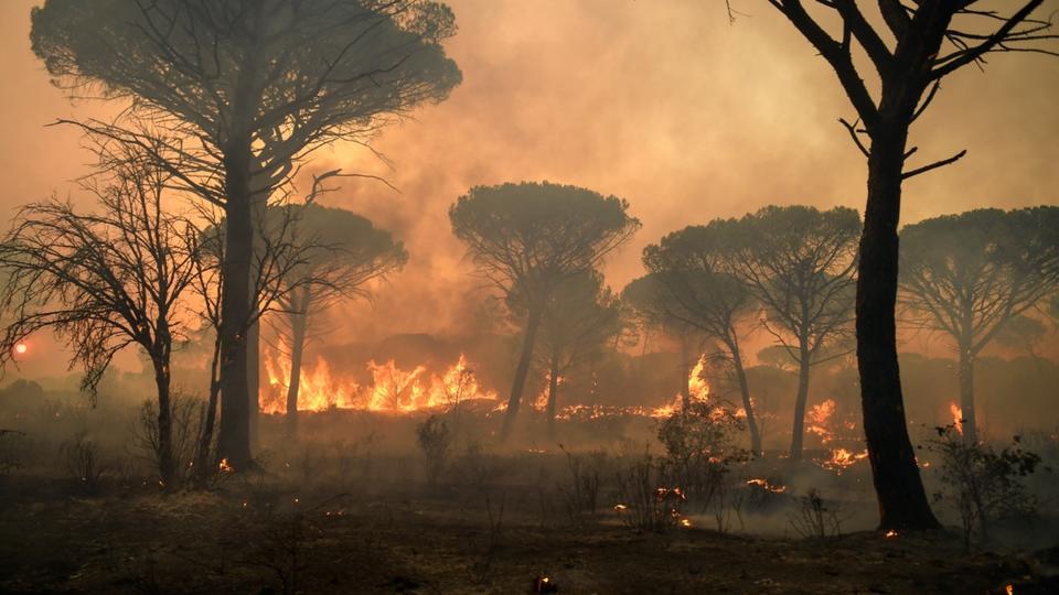 Débroussaillage, changement d'arbres, incitations fiscales... Le Sénat propose 70 mesures pour la prévention des feux de forêts