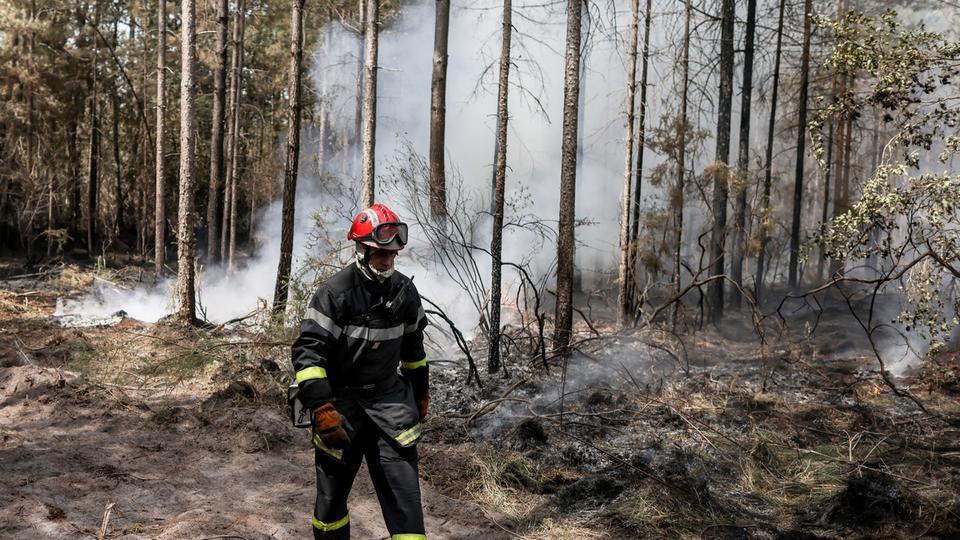 Feux de forêts : près de 50 incendiaires présumés interpellés cet été