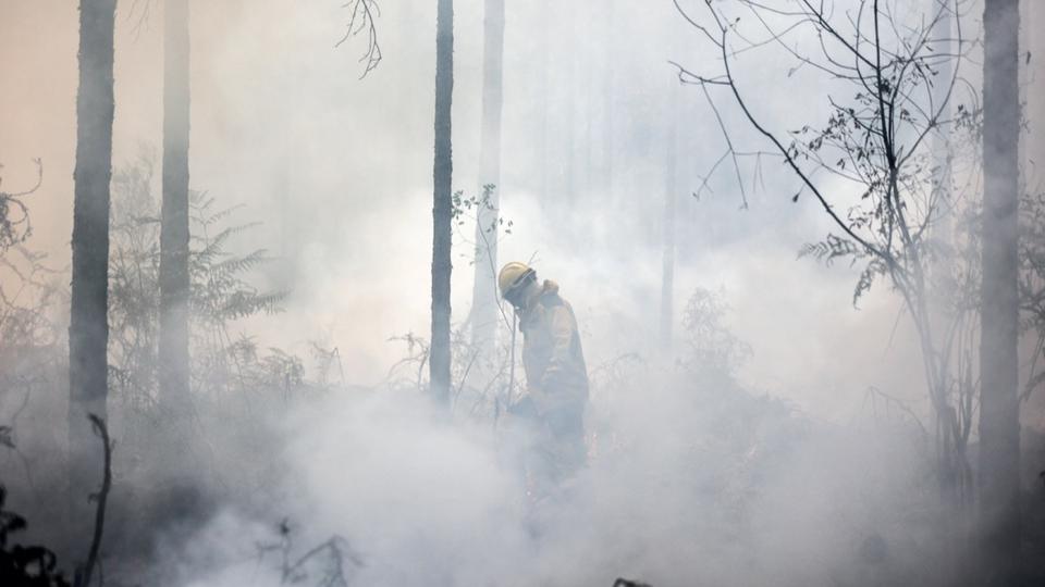 Aude : le feu qui a ravagé 15 hectares à Gruissan est fixé
