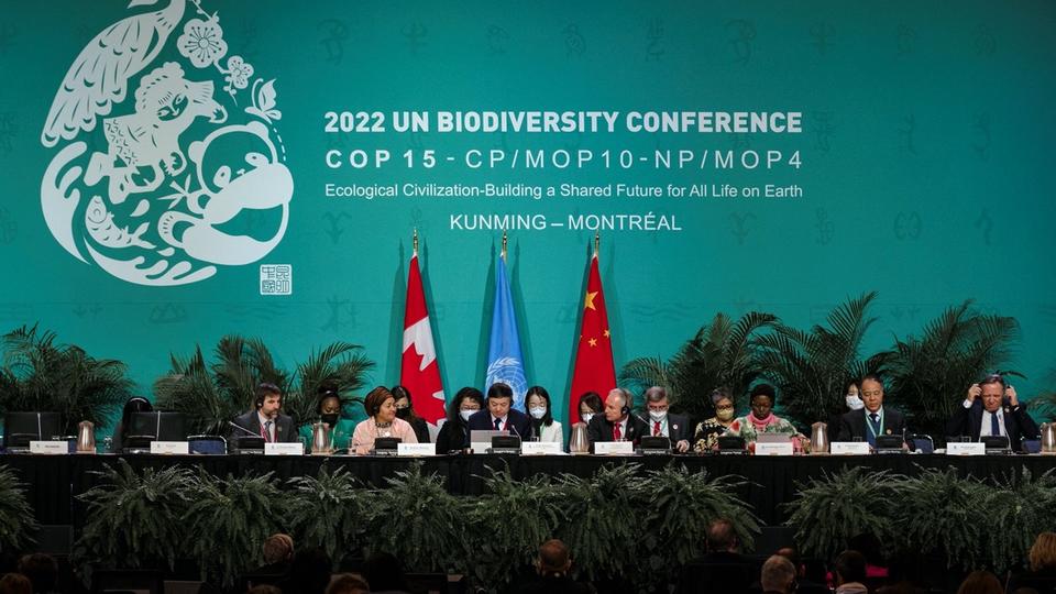 COP15 : la question de la création d'un fonds pour financer la biodiversité crispe les négociations