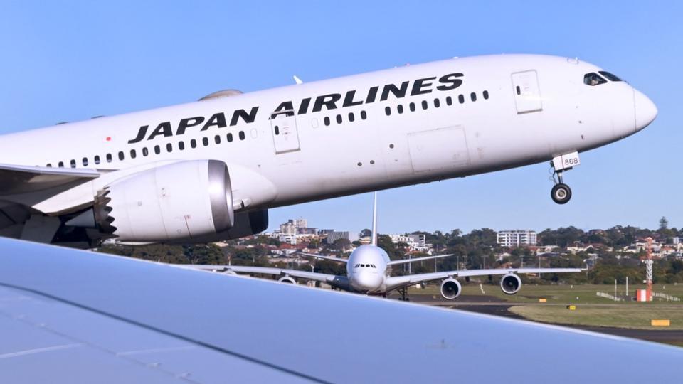 Japon : une compagnie aérienne met en place un avion supplémentaire pour transporter 27 lutteurs de sumo après un problème de surcharge