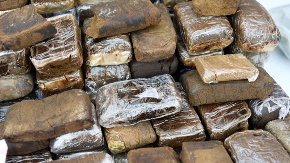 Pyrénées-Atlantiques : 31 kg de cannabis retrouvés dans un colis humanitaire pour l'Ukraine