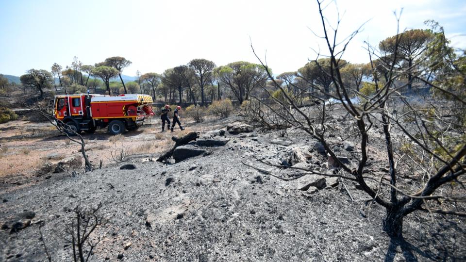 Var : environ 600 hectares brûlés à Canjuers à cause d'un tir d'entraînement militaire