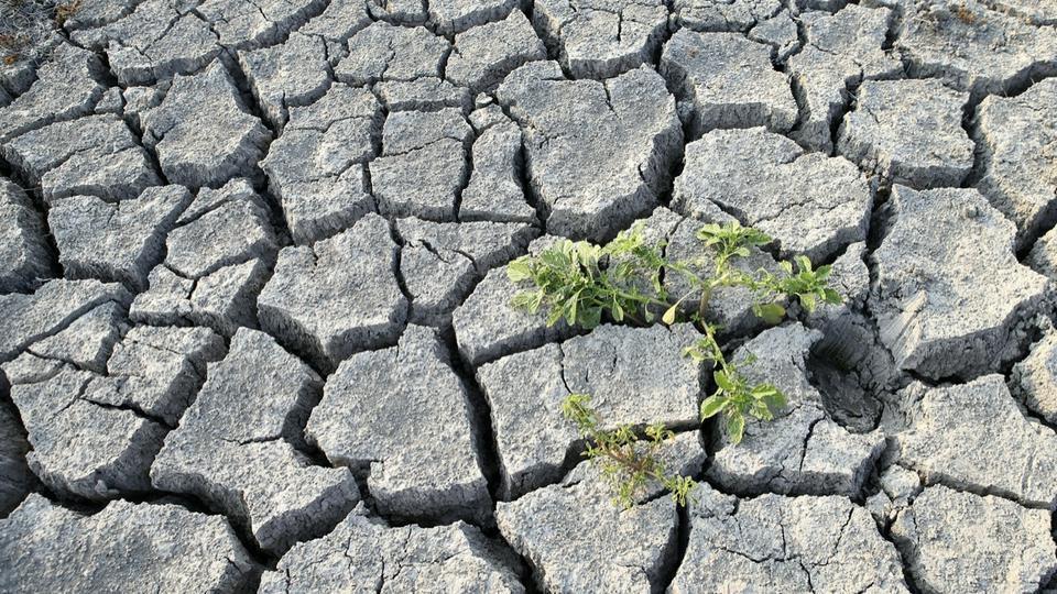 Sécheresse en Haute-Corse : à ce rythme «il n'y aura plus d'eau dans 25 jours», selon la préfecture