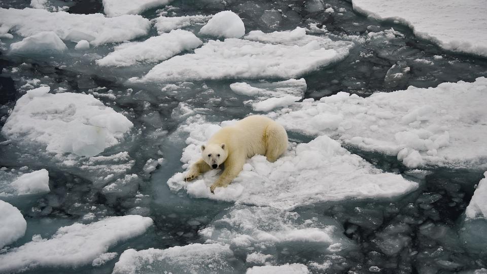 Climat : l'Arctique se réchaufferait quatre fois plus vite que le reste de la Terre