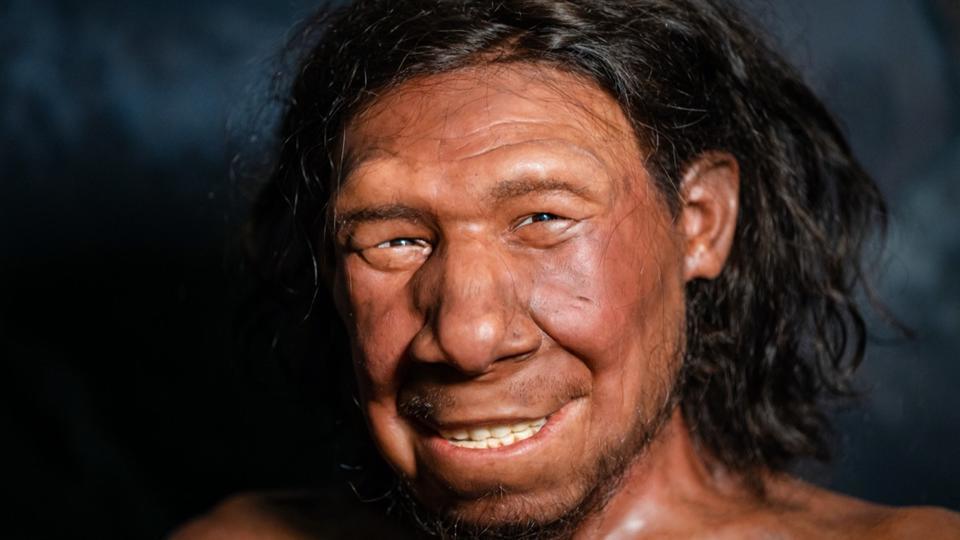 Archéologie : la plus vieille preuve alimentaire suggère que l'Homme de Néandertal était un fin gourmet