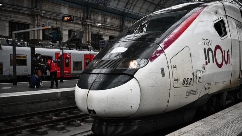 Chat écrasé par un TGV : la SNCF condamnée à une amende de 1.000 euros