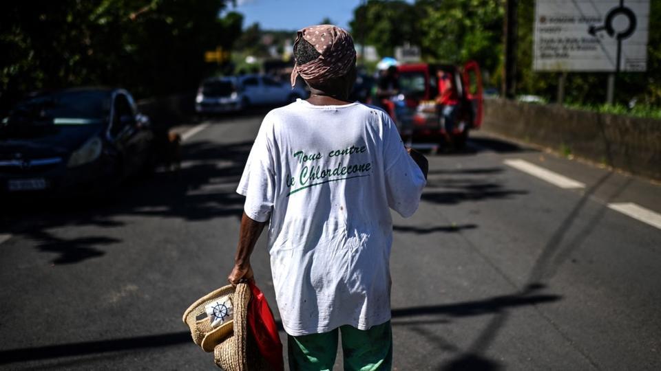 Chlordécone aux Antilles : le dépistage des ouvriers agricoles généralisé dès février