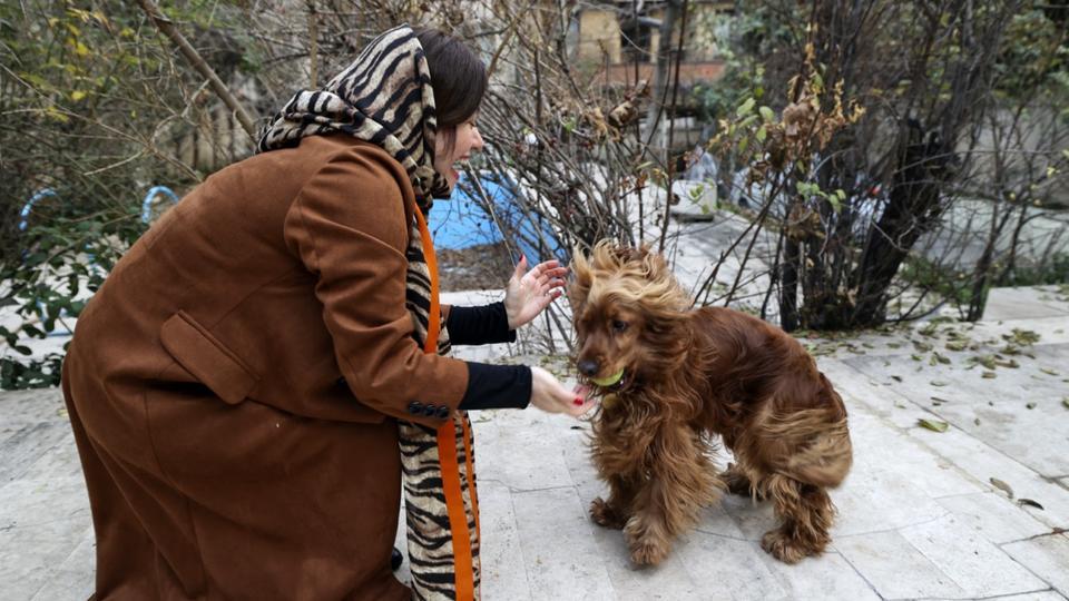 Iran : posséder un animal de compagnie sera-t-il bientôt interdit par la loi ?