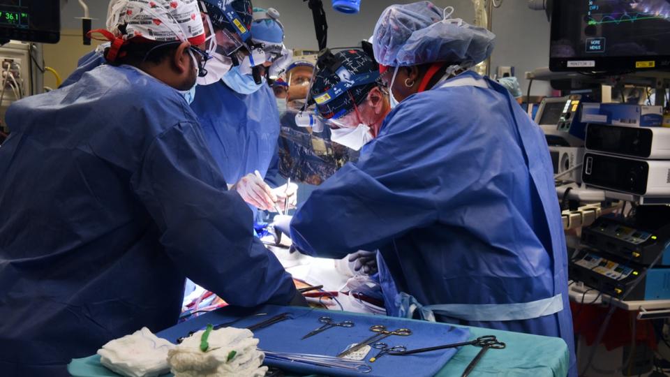 Pour la première fois, des chirurgiens ont greffé avec succès le coeur d'un porc sur un humain