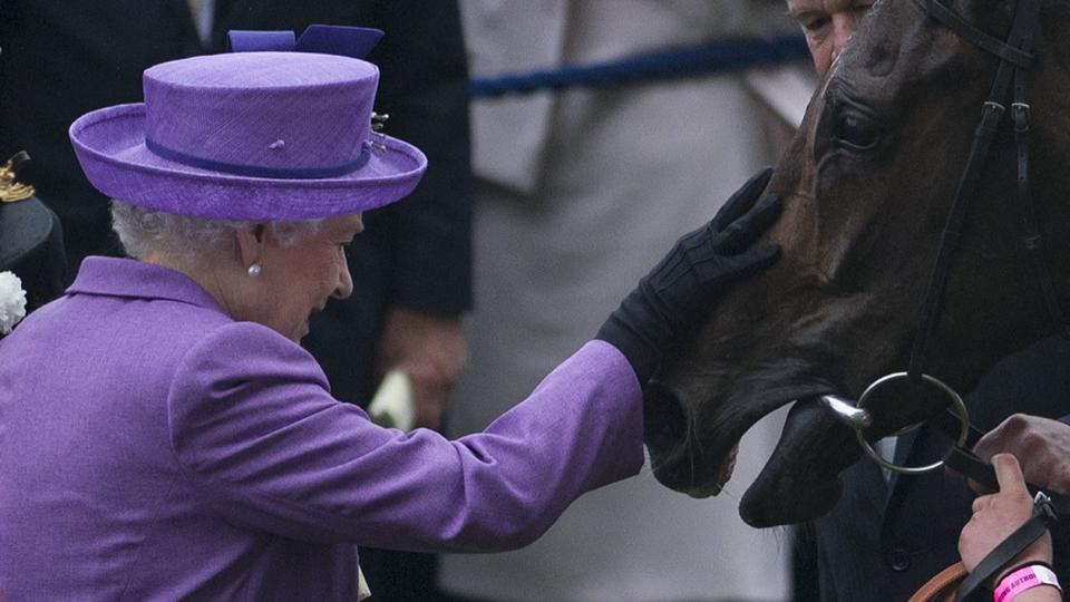 Charles III met en vente 14 chevaux appartenant à la reine Elizabeth II