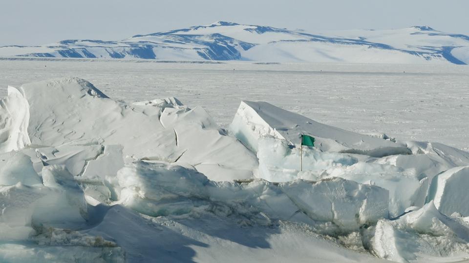 Un nouvel écosystème découvert sous la glace de l'Antarctique