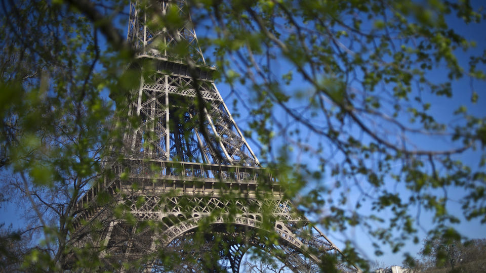 Paris : polémique autour de l'abattage d'arbres centenaires au pied de la tour Eiffel