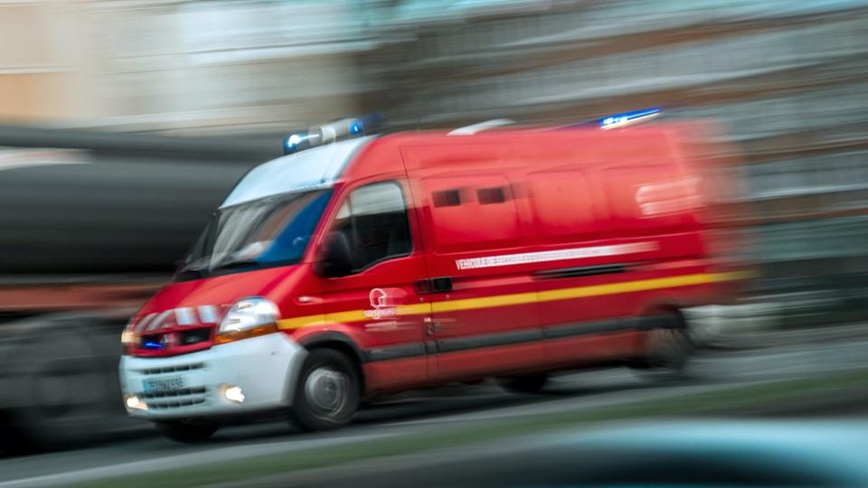Rennes : les pompiers sauvent un chien coincé dans une canalisation