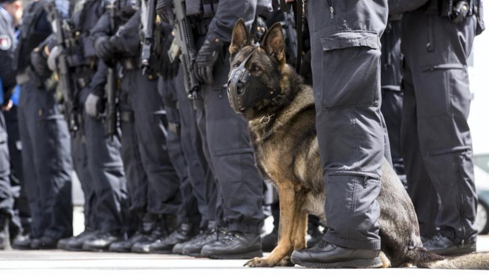 Allemagne : les chiens policiers suspendus en vertu d'une nouvelle loi contre la maltraitance animale