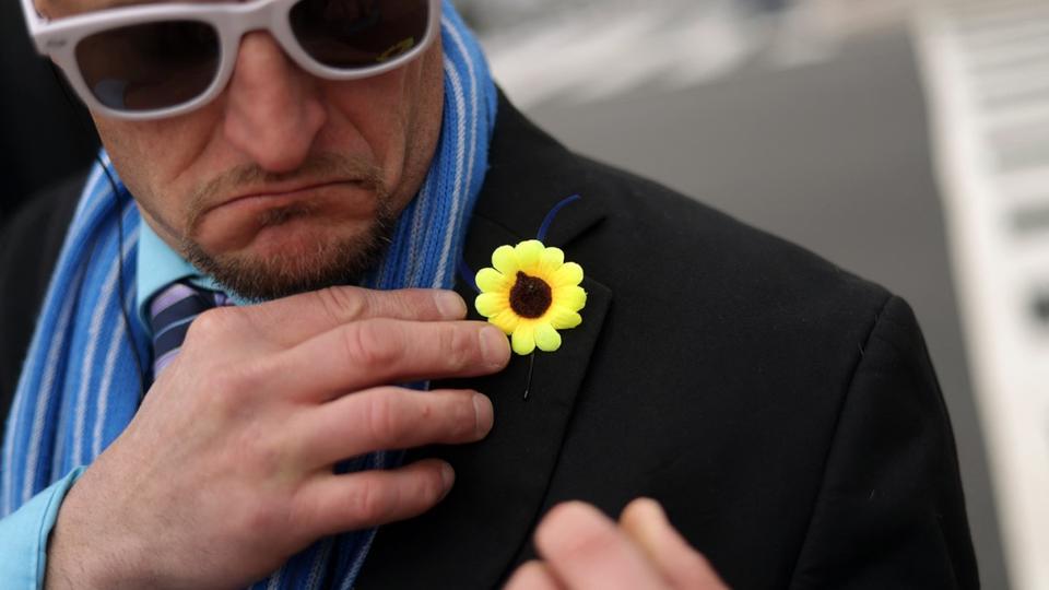 Pourquoi le tournesol est devenu le symbole de soutien à l'Ukraine face à l'invasion russe