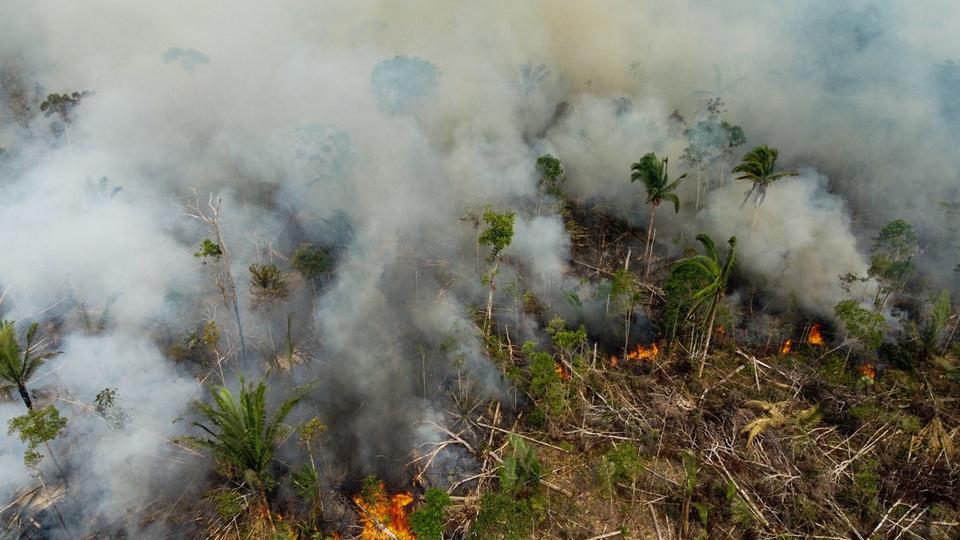 Brésil : l'Amazonie a enregistré plus d'incendies depuis janvier que sur toute l'année 2021