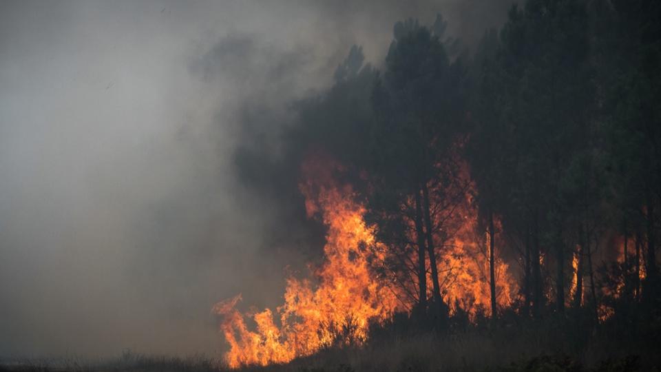 Incendie : fumer dans les bois et forêts sera bientôt interdit pendant ces périodes