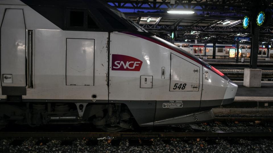 Chat coupé en deux par un TGV à Paris : la fondation 30 Millions d'amis porte plainte contre la SNCF