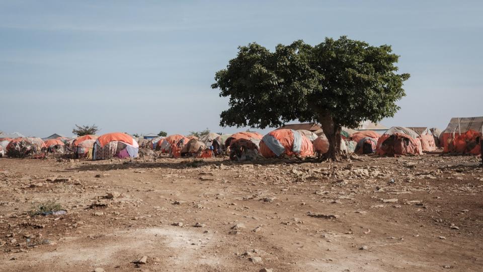 Somalie : le pays au bord de la famine, prévient l'ONU dans un «ultime avertissement»