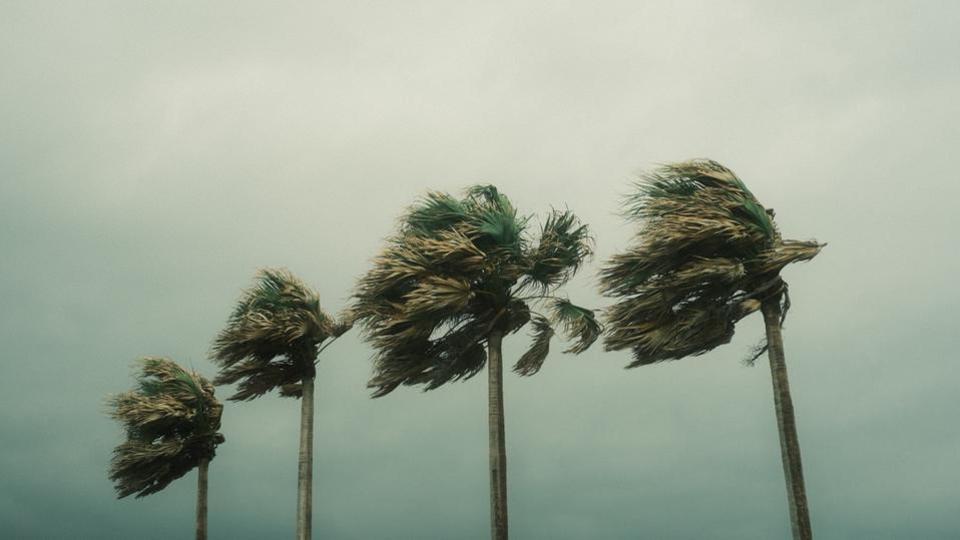 Ouragan Tammy : qu'est-ce qu'une alerte violette ?
