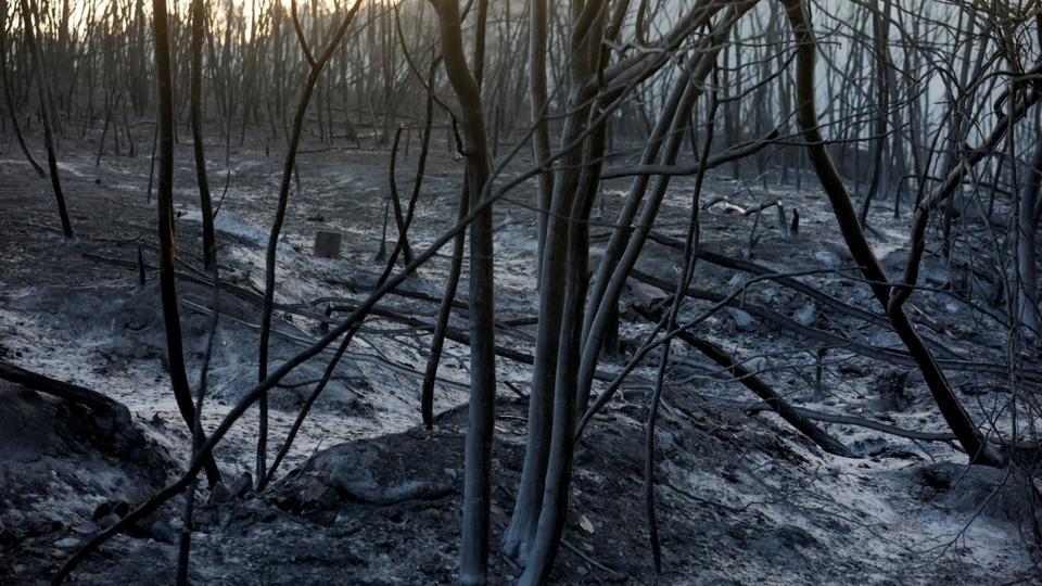 Incendies en Grèce: les émissions de carbone atteignent des niveaux record