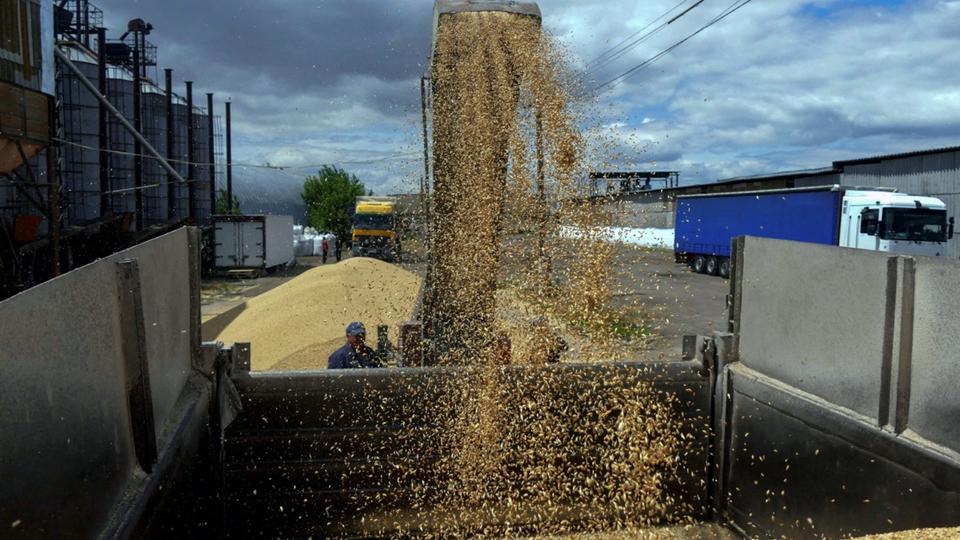 Pourquoi la Pologne et la Hongrie ont-elles interdit l'importation de céréales ukrainiennes ?